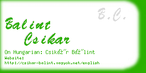 balint csikar business card